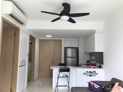 ripple-bay photo thumbnail #12